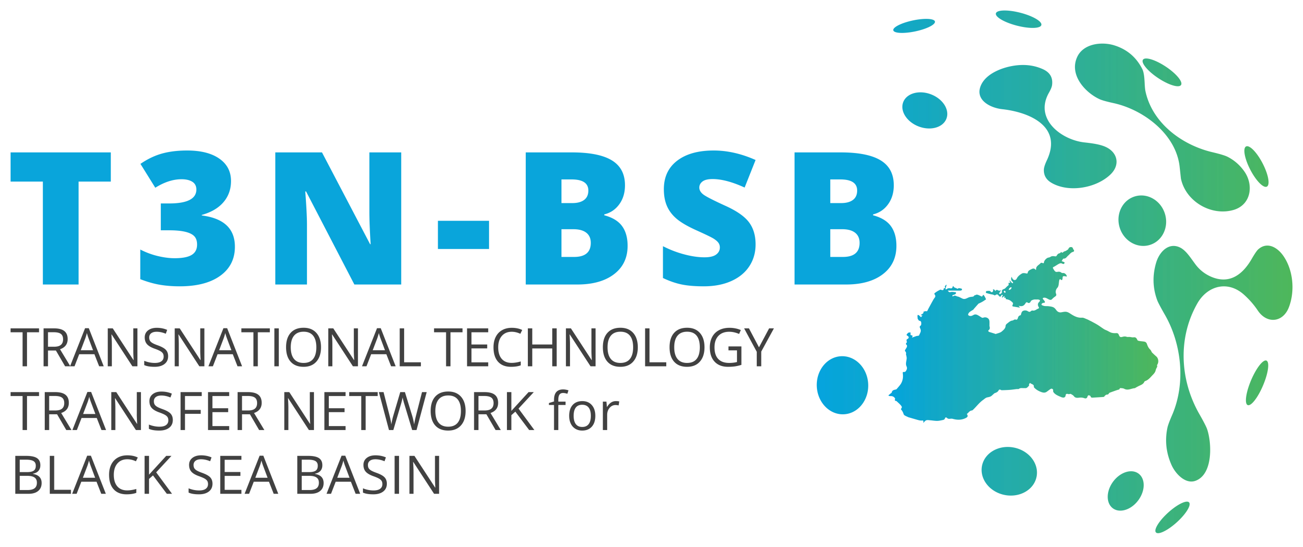 T3NBSB